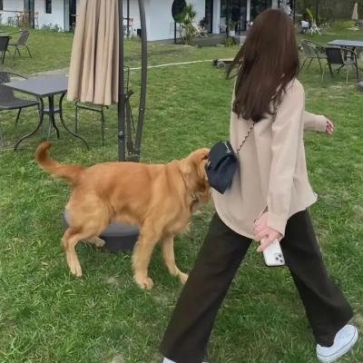 金鎗独行侠